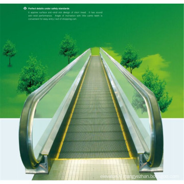 Fjzy Moving Walkway--- Inclination 12 Degree, 0.5m/S